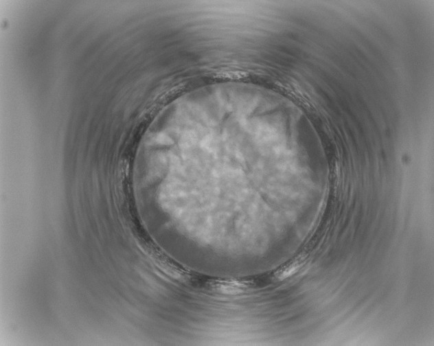 X0000059840229200511181521