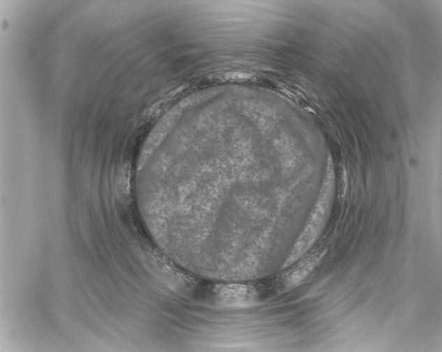 X0000059840230200511181521