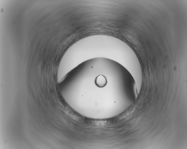 X0000059840233200511181521