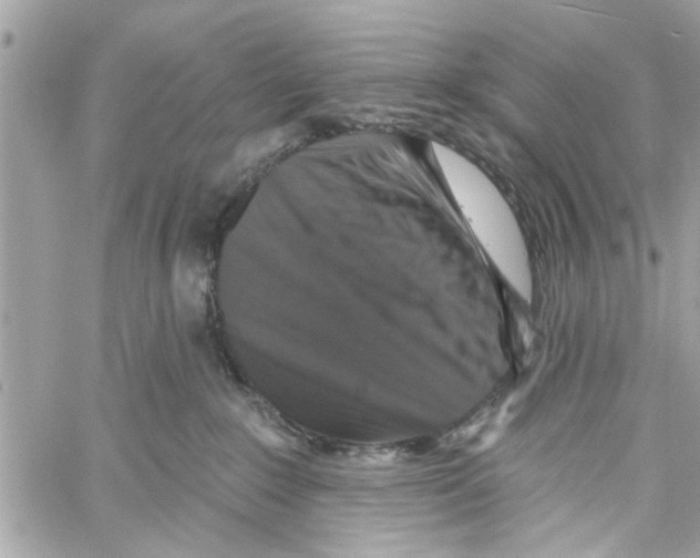 X0000059840235200511181521