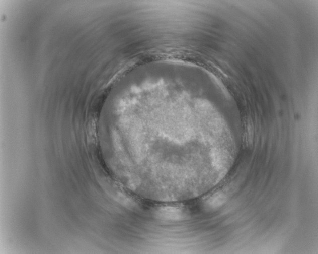 X0000059840236200511181521