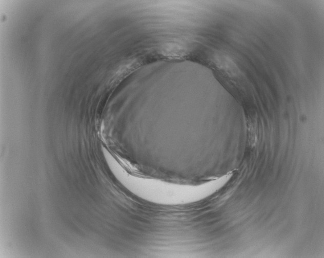 X0000059840237200511181521