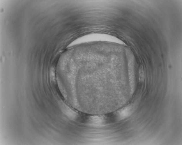 X0000059840238200511181521