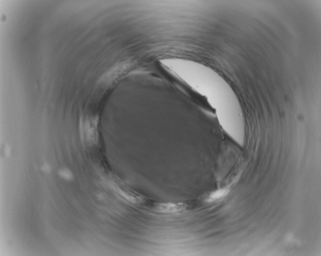 X0000059840239200511181521