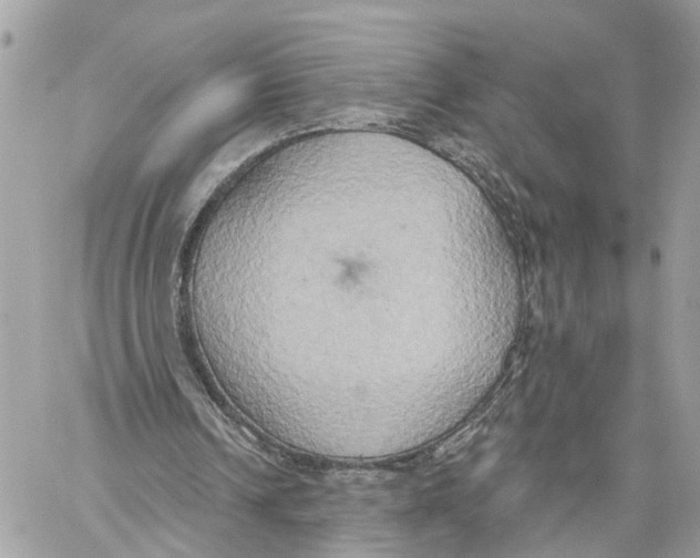 X0000059840242200511181520