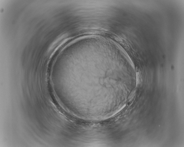 X0000059840243200511181520