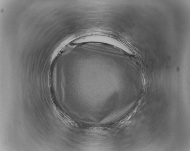 X0000059840244200511181520