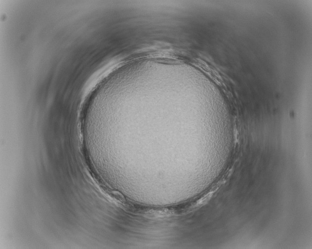 X0000059840245200511181520