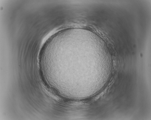 X0000059840246200511181520