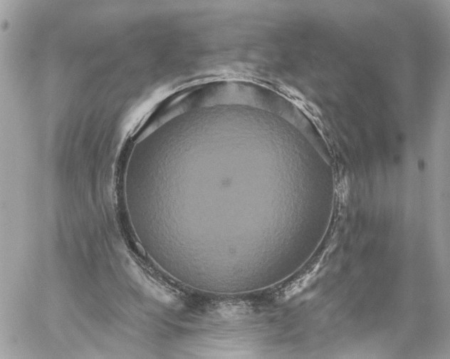 X0000059840248200511181520