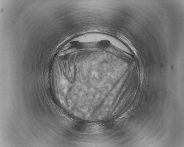 X0000059840249200511181520