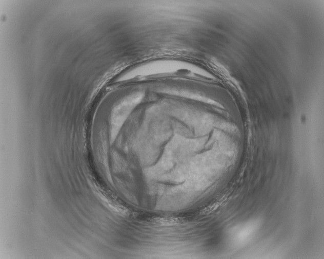 X0000059840250200511181520