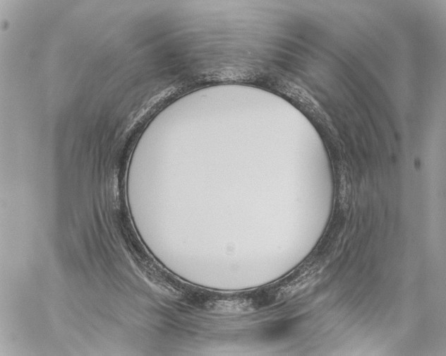 X0000059840251200511181520