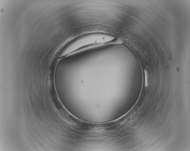 X0000059840252200511181520