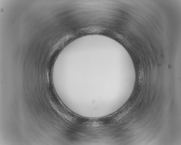 X0000059840254200511181520