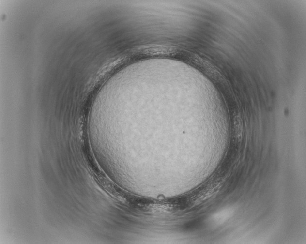 X0000059840255200511181520