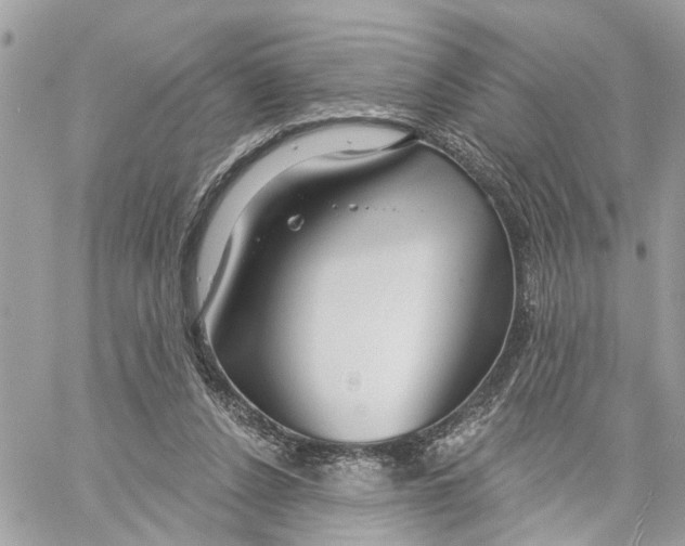 X0000059840256200511181520