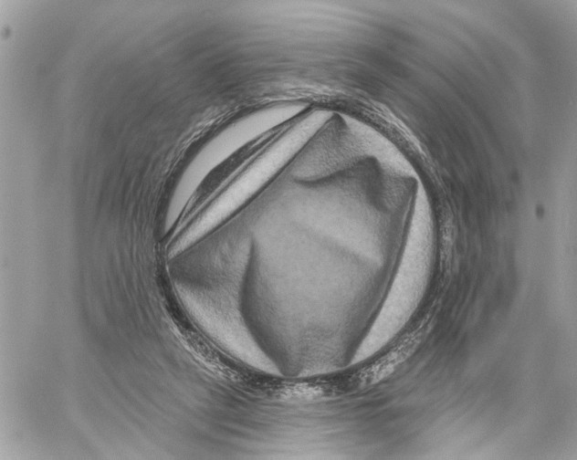 X0000059840257200511181520