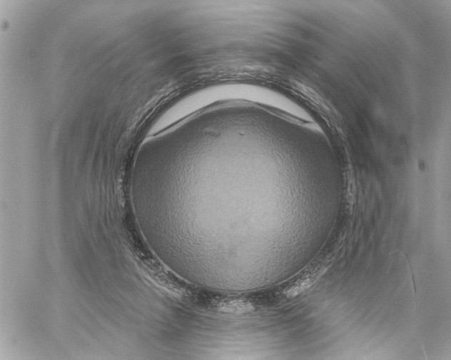 X0000059840258200511181520