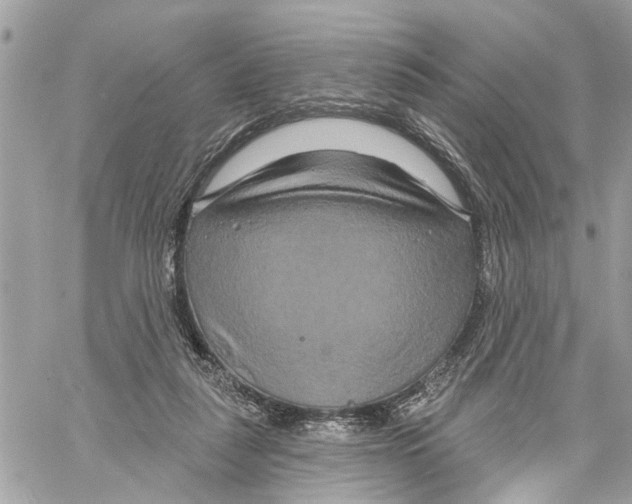 X0000059840259200511181520