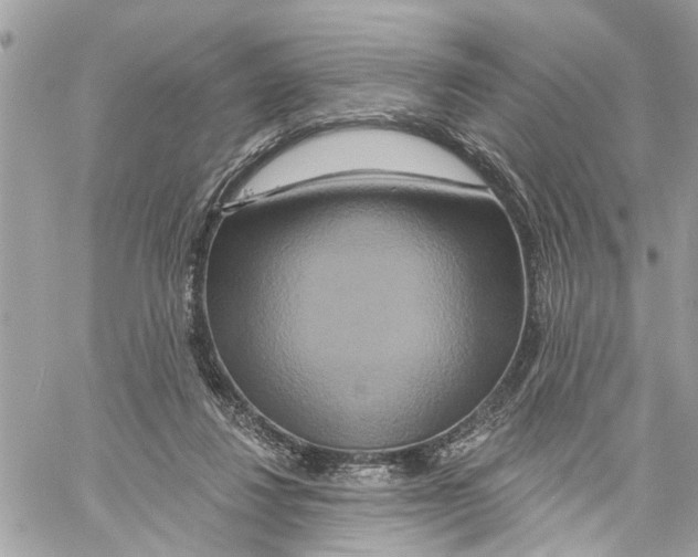 X0000059840260200511181520