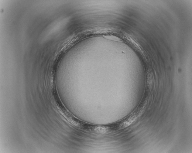 X0000059840261200511181520