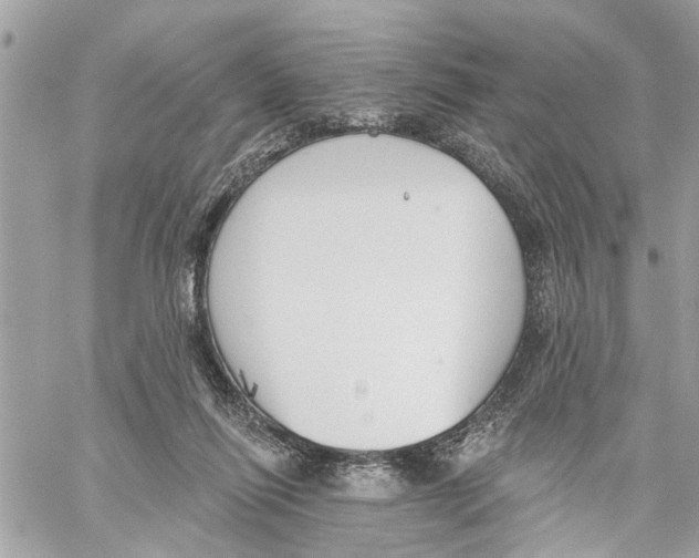 X0000059840262200511181520