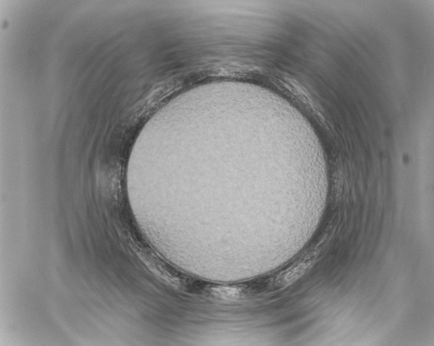 X0000059840265200511181520