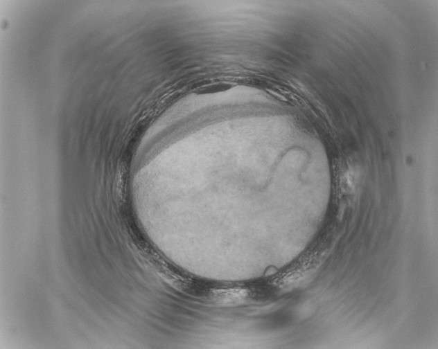 X0000059840266200511181520