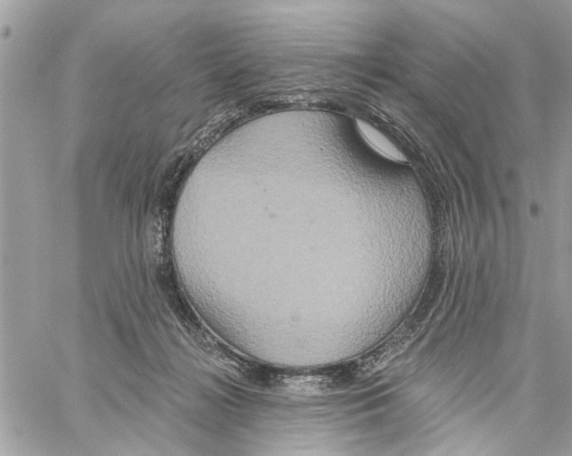 X0000059840268200511181520