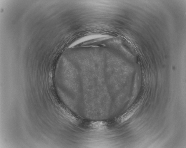 X0000059840269200511181520