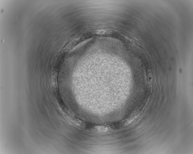 X0000059840272200511181521