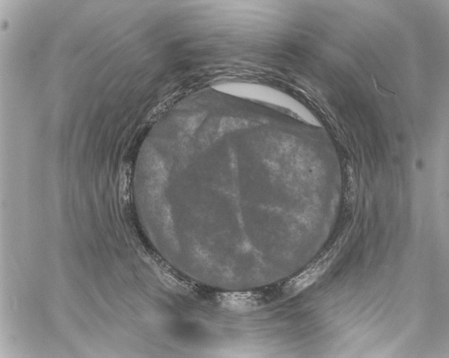 X0000059840273200511181521