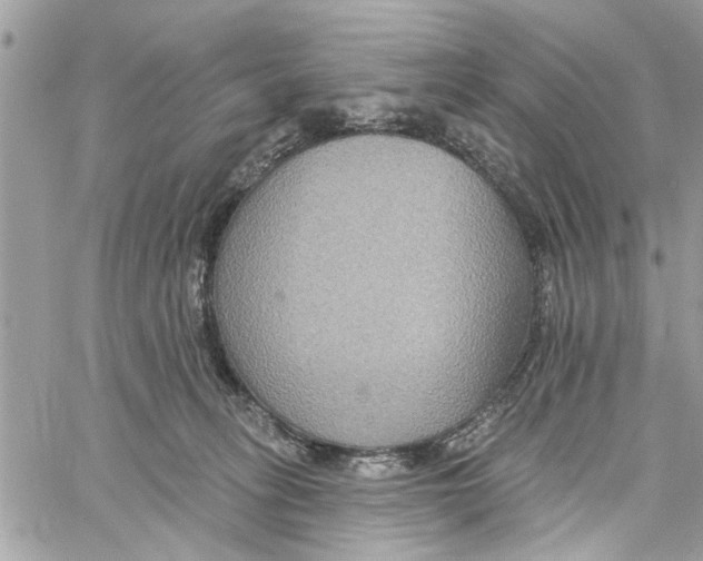 X0000059840275200511181521