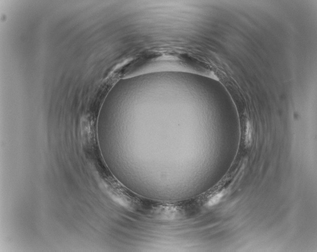 X0000059840276200511181521