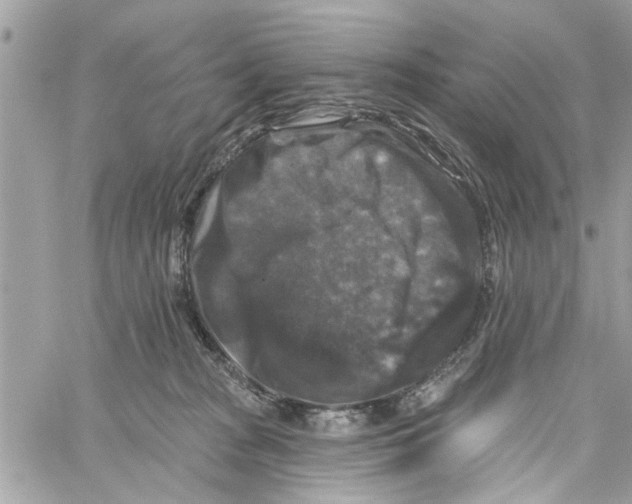 X0000059840277200511181521