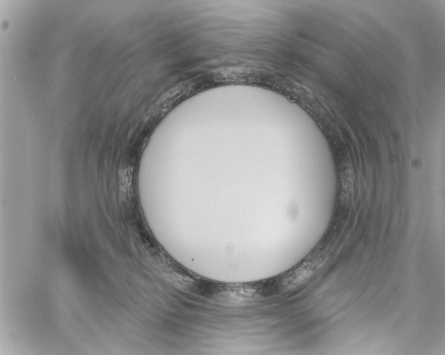 X0000059840278200511181521