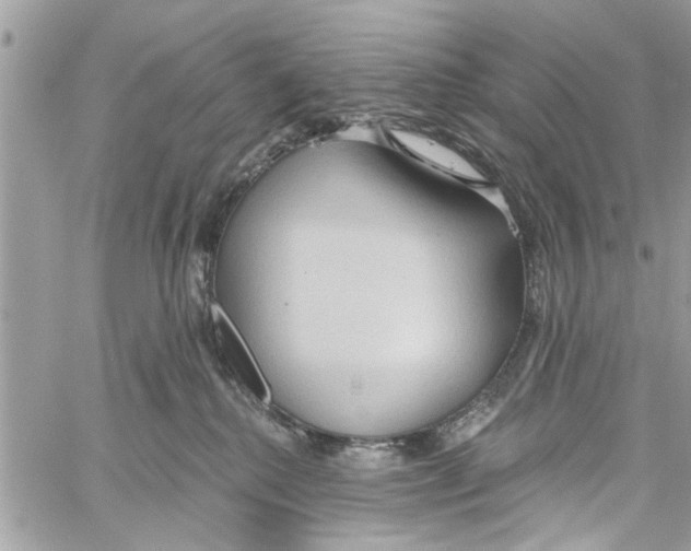 X0000059840280200511181521