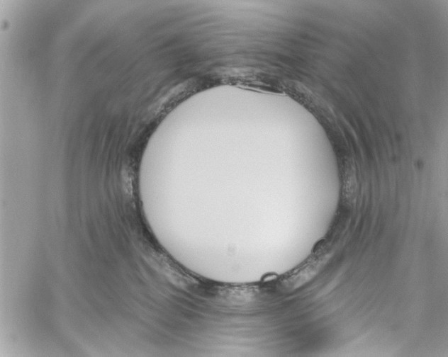 X0000059840282200511181521