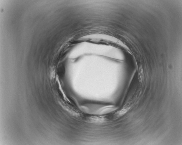 X0000059840284200511181521