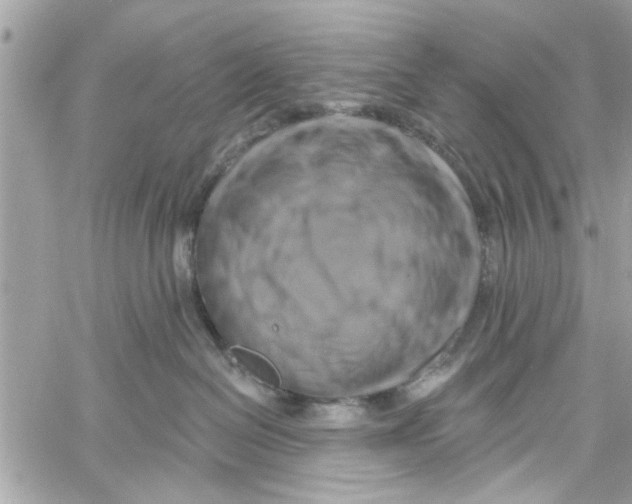 X0000059840286200511181521