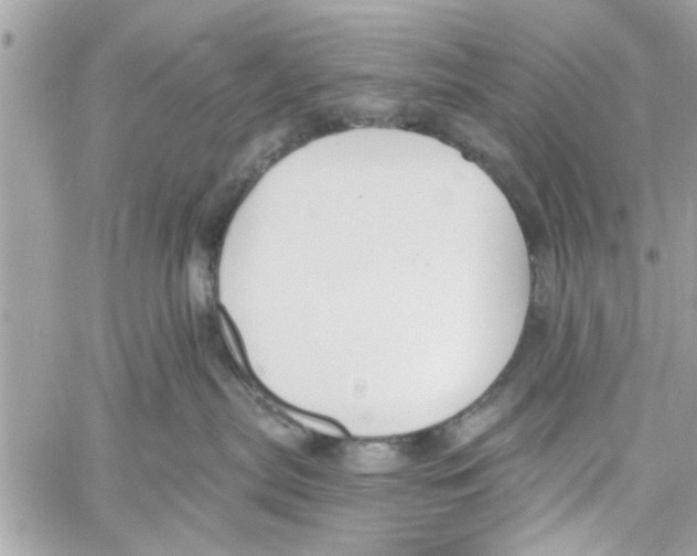 X0000059840287200511181521