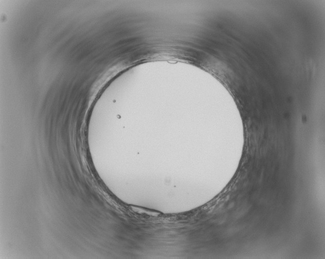 X0000059840289200511181520