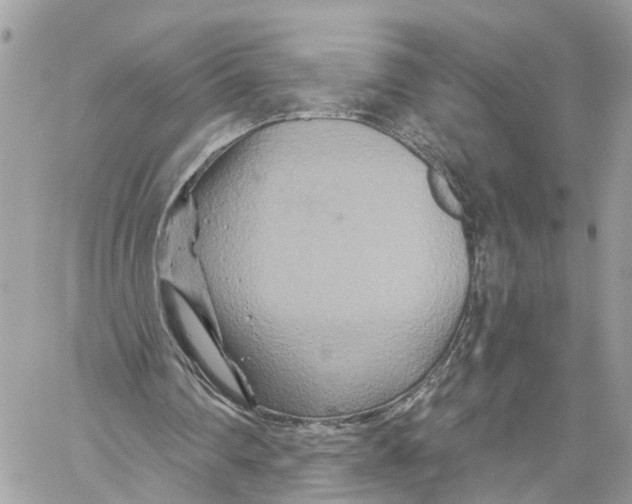 X0000059840290200511181520