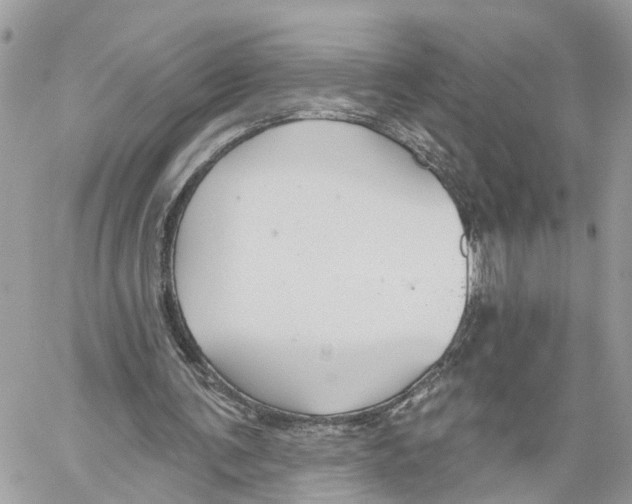 X0000059840291200511181520