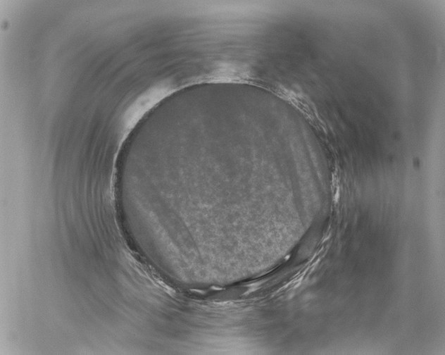 X0000059840292200511181520