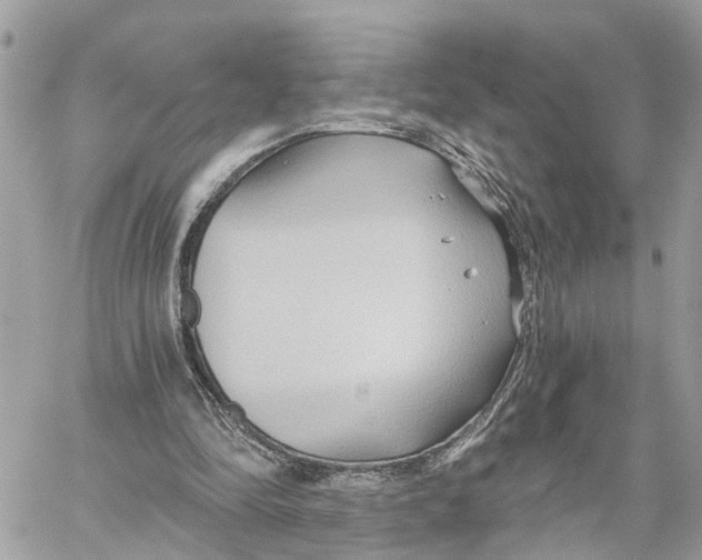 X0000059840294200511181520