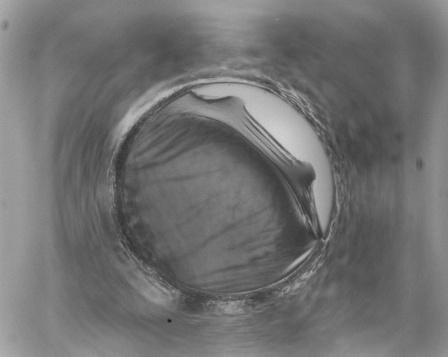 X0000059840295200511181520