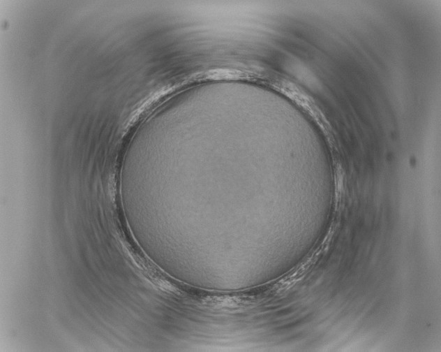 X0000059840297200511181520