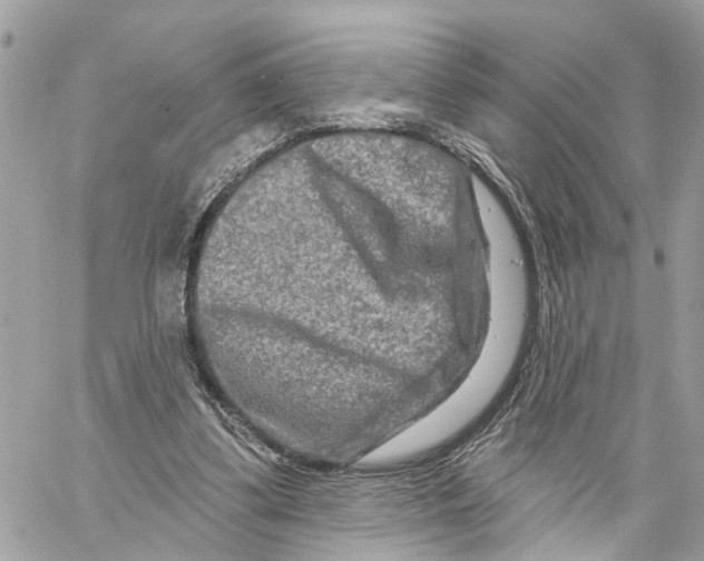 X0000059840299200511181520